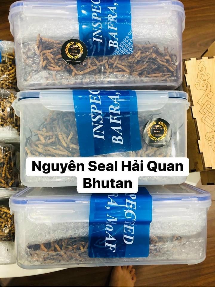 nguyên seal hải quan bhutan dán hộp đông trùng hạ thảo